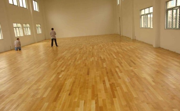 楓木2.jpg 楓木2.jpg