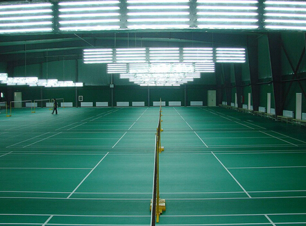 體育運動地板,體育木地板 體育運動地板,體育木地板