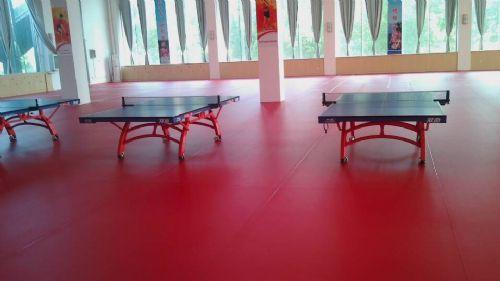 如何選購乒乓球地板膠 乒乓球地板膠