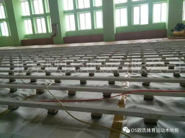 汕頭特殊教育學(xué)?；@球館木地板案例圖3
