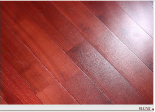 舞臺專用紅運動地板-圖2 舞臺專用紅運動地板-圖2