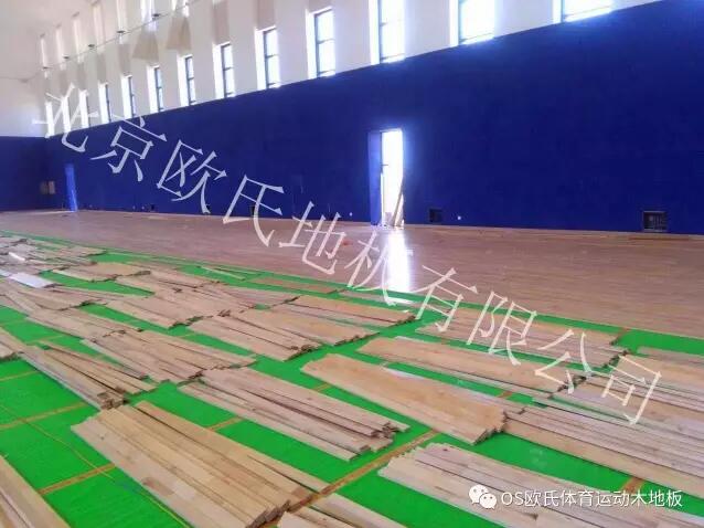 寧夏鹽池光伏小鎮(zhèn)籃球館-3 寧夏鹽池光伏小鎮(zhèn)籃球館-3