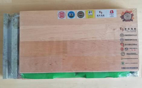 歐氏U型鋼槽結(jié)構(gòu)運(yùn)動木地板系統(tǒng) 歐氏U型鋼槽結(jié)構(gòu)運(yùn)動木地板系統(tǒng)