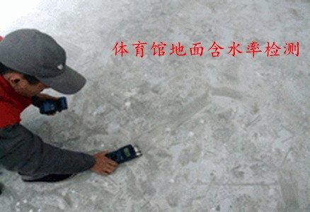體育館地面含水率檢測(cè)