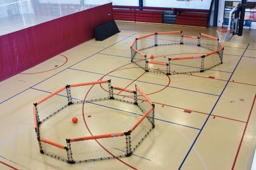 國(guó)內(nèi)體育運(yùn)動(dòng)木地板為什么要選歐氏？