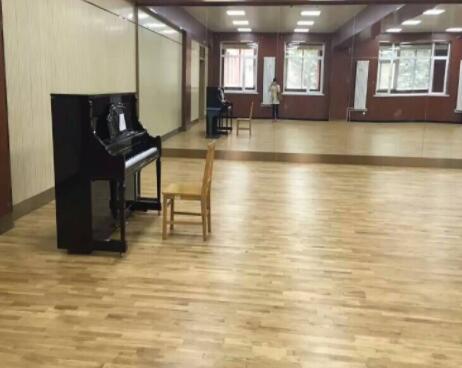 運動木地板效果圖四 北京王府校區(qū) 運動木地板效果圖四 北京王府校區(qū)