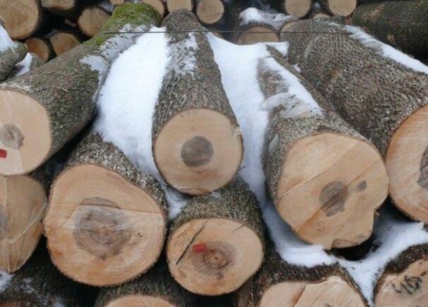 國(guó)產(chǎn)東北楓木和國(guó)外的美國(guó)楓木、加拿大楓木哪種更好