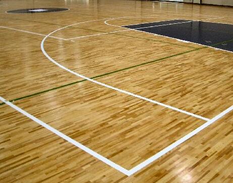 體育館和武術(shù)館的維護和保養(yǎng) 體育館和武術(shù)館的維護和保養(yǎng)