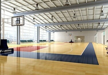 體育運(yùn)動地板 體育運(yùn)動地板