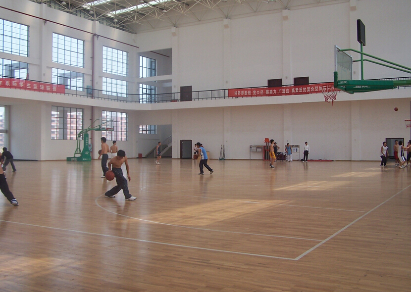體育木地板 體育木地板