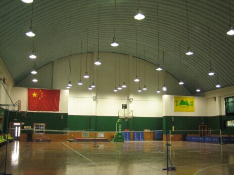 體育木地板 體育木地板