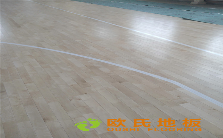 內(nèi)蒙古呼和浩特賽罕區(qū)師范大學(xué)體育學(xué)院訓(xùn)練館運動木地板案例-歐氏運動木地板